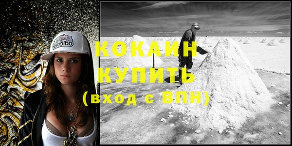 тгк Козельск