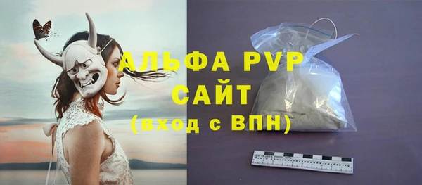 гашик Корсаков