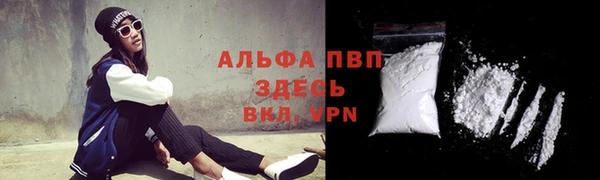 спиды Костерёво