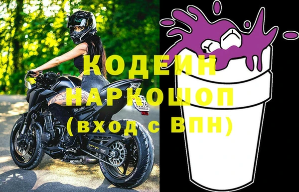 гашик Корсаков