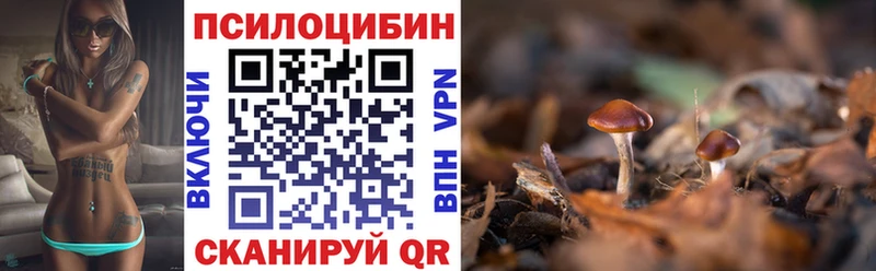 Галлюциногенные грибы Magic Shrooms  Красновишерск 